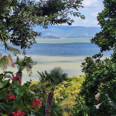 Antica Casa Di Famiglia Hotel Castiglione del Lago Ngoại thất bức ảnh