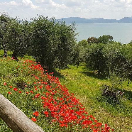 Antica Casa Di Famiglia Hotel Castiglione del Lago Ngoại thất bức ảnh