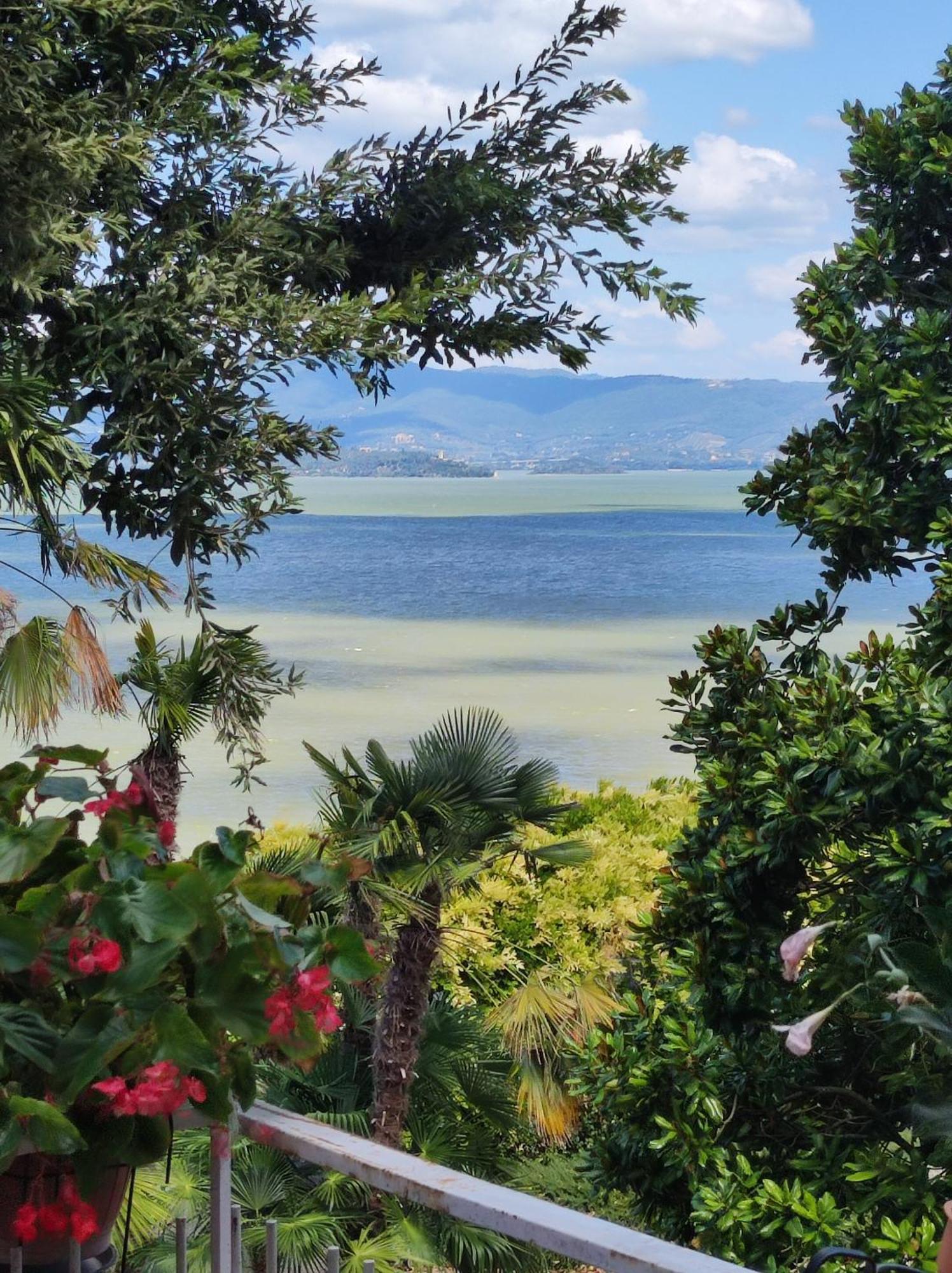 Antica Casa Di Famiglia Hotel Castiglione del Lago Ngoại thất bức ảnh