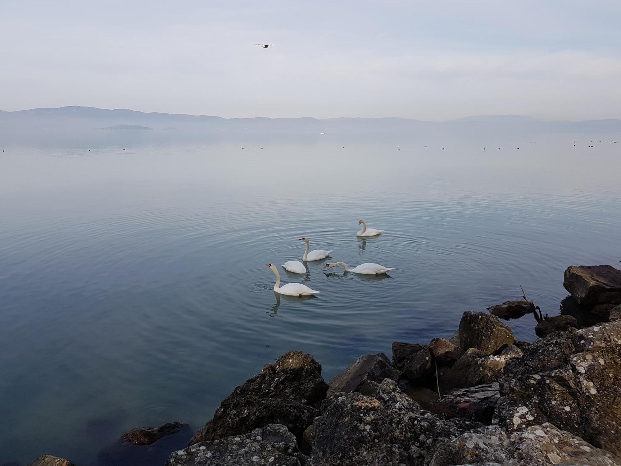 Antica Casa Di Famiglia Hotel Castiglione del Lago Ngoại thất bức ảnh