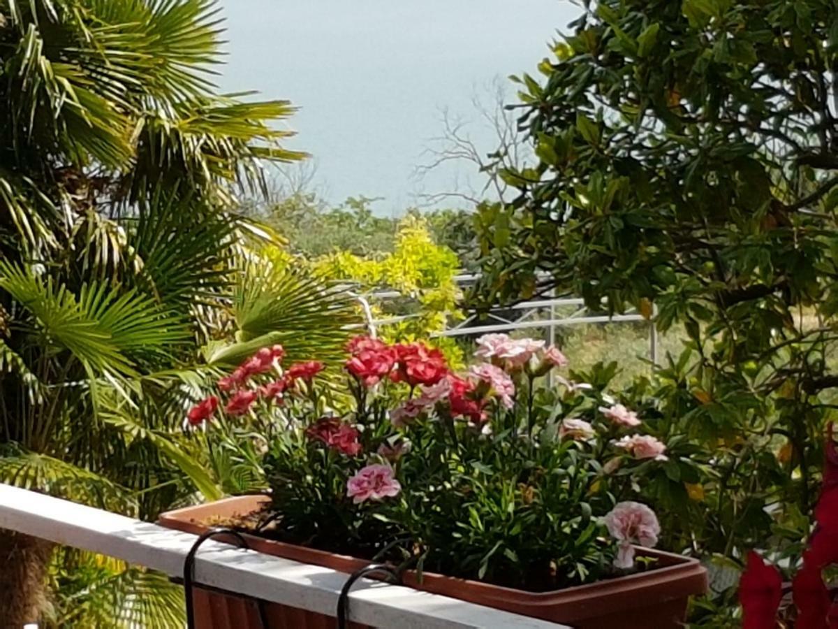 Antica Casa Di Famiglia Hotel Castiglione del Lago Ngoại thất bức ảnh