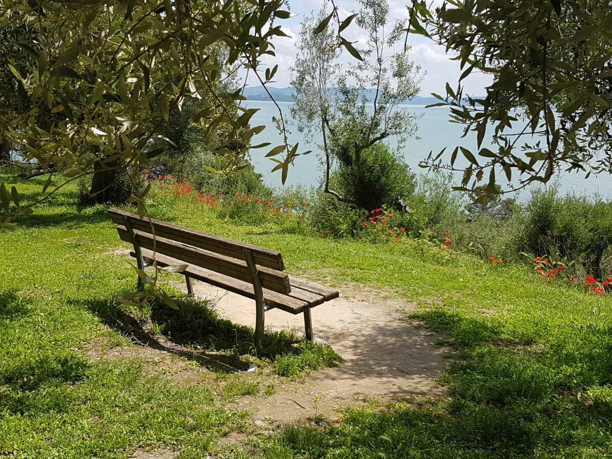 Antica Casa Di Famiglia Hotel Castiglione del Lago Ngoại thất bức ảnh