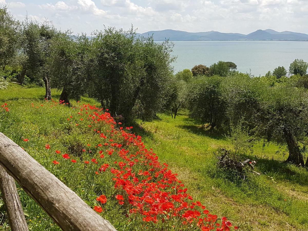 Antica Casa Di Famiglia Hotel Castiglione del Lago Ngoại thất bức ảnh
